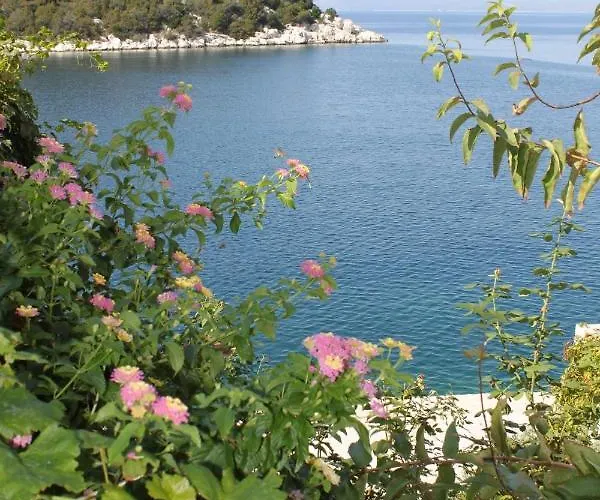 Lägenhet Zaklopatica 8393b